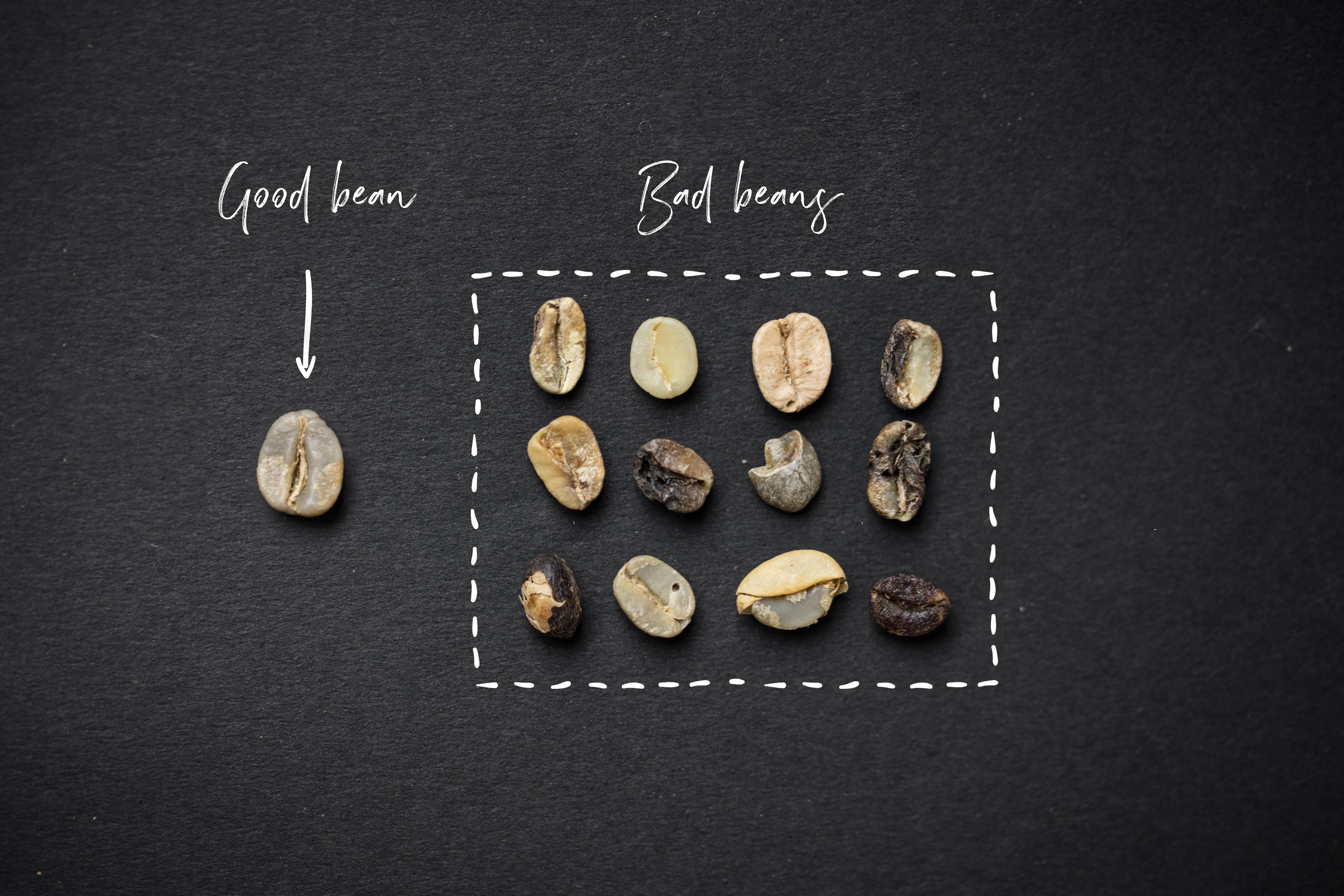 Good beans vs bad beans: selecting 