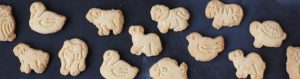 Animal Bites