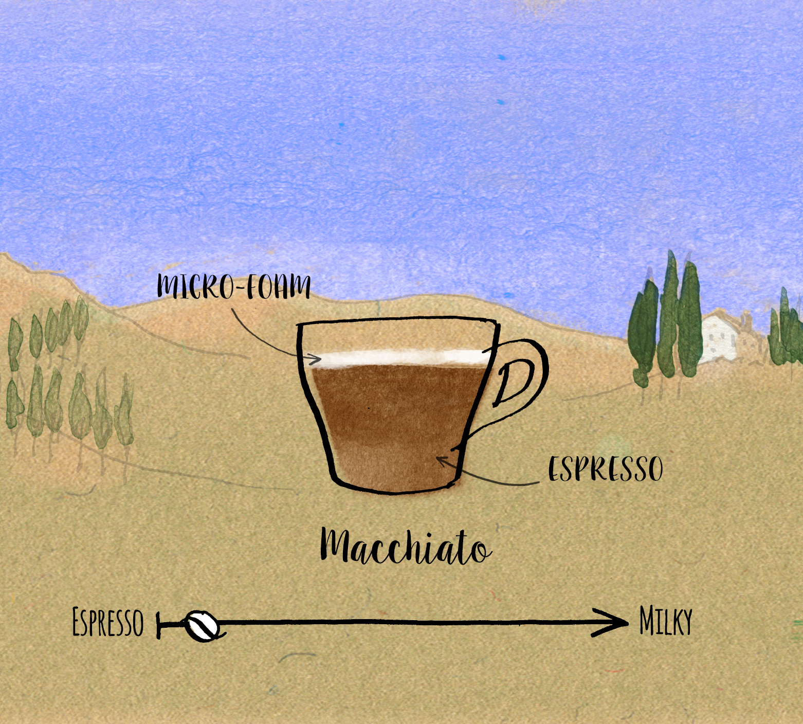 Cortado vs Macchiato vs Latte: Decoding Your Coffee Choices